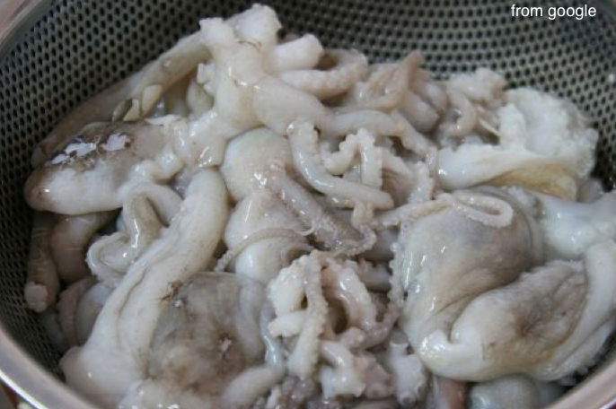 Trip to Korea – Chilli Octopus