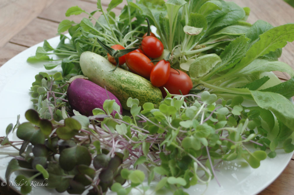 Balcony garden journal 3 – harvest time!