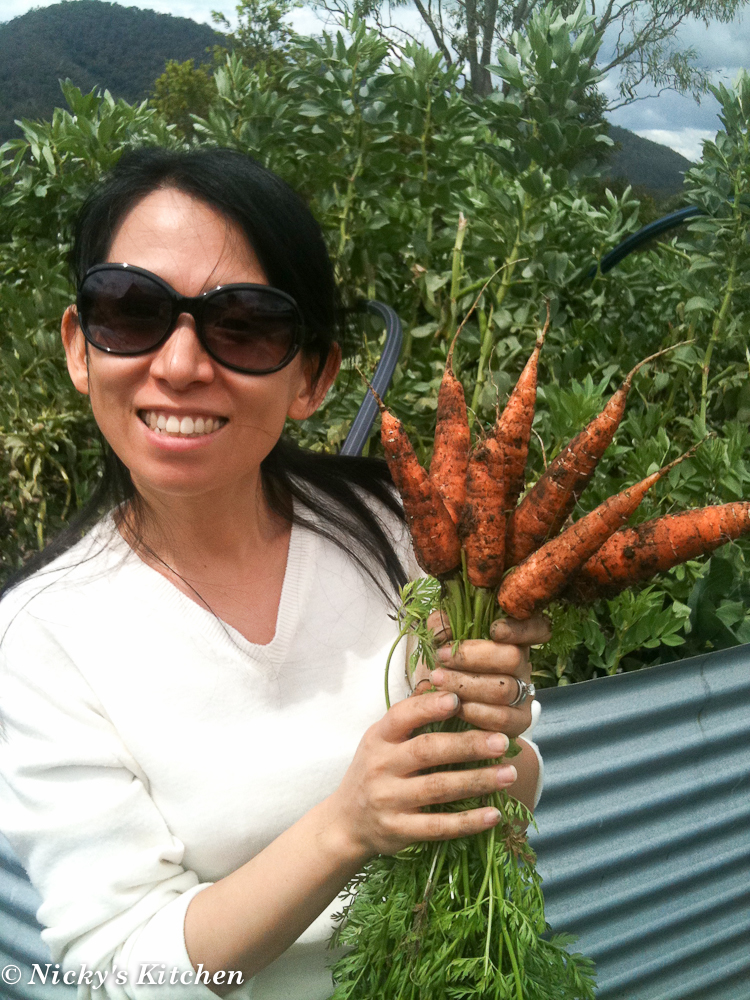 A real veggie garden