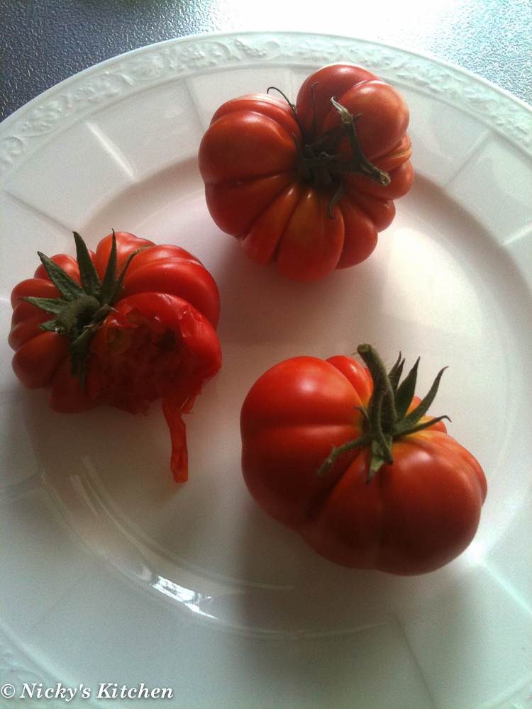 Tomato harvest