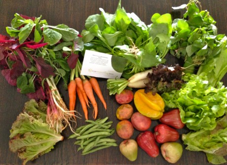 CSA munching box