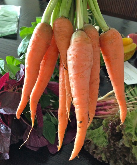 carrots