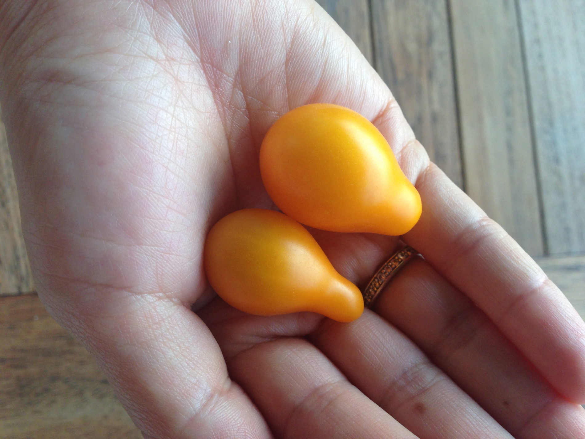 Bangkok Balcony gardening update – harvest time!